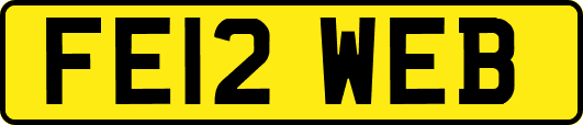 FE12WEB
