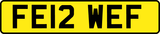 FE12WEF