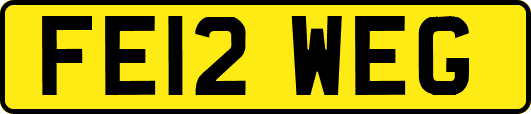 FE12WEG