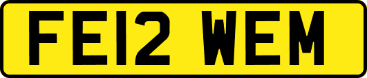 FE12WEM