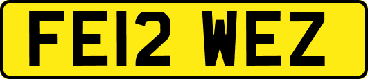 FE12WEZ