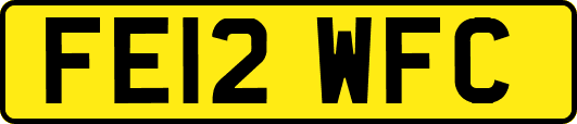 FE12WFC