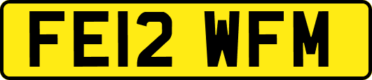 FE12WFM