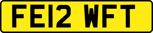 FE12WFT