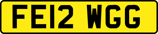 FE12WGG