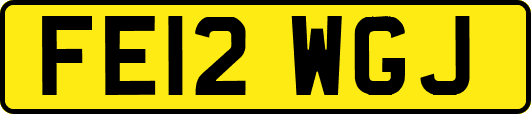 FE12WGJ