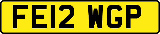 FE12WGP