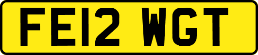 FE12WGT