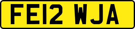 FE12WJA