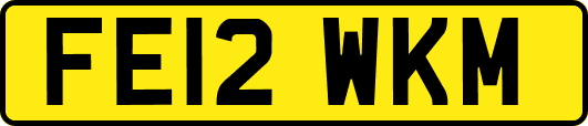 FE12WKM