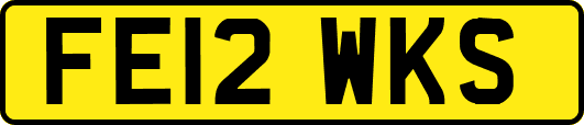 FE12WKS