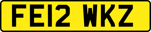 FE12WKZ