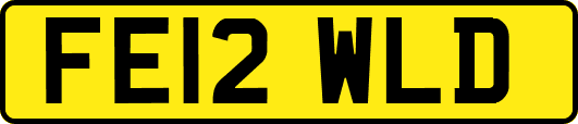 FE12WLD