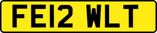 FE12WLT