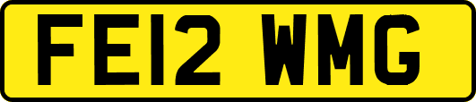 FE12WMG