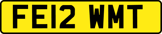 FE12WMT