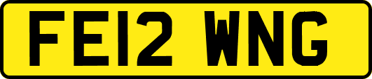 FE12WNG