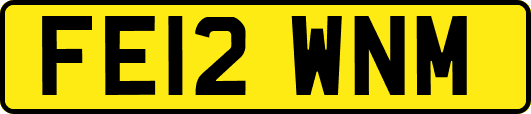 FE12WNM