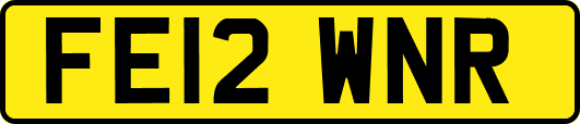 FE12WNR