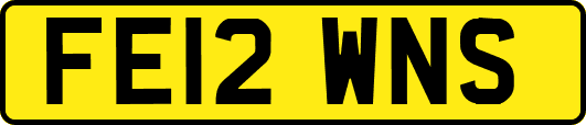 FE12WNS