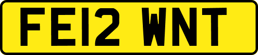 FE12WNT