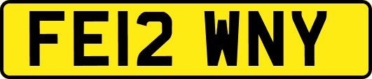 FE12WNY