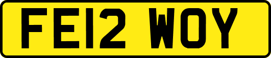 FE12WOY