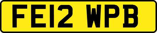 FE12WPB