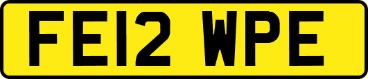 FE12WPE