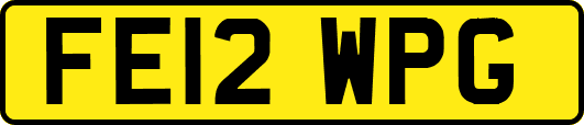 FE12WPG
