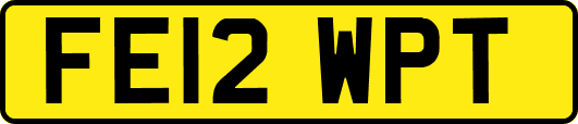 FE12WPT