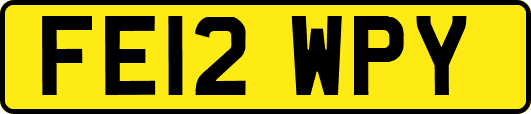 FE12WPY