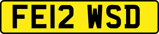 FE12WSD