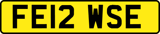 FE12WSE