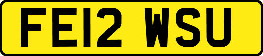 FE12WSU