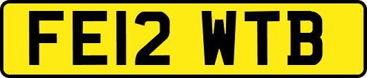 FE12WTB