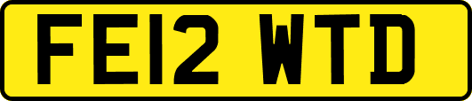 FE12WTD