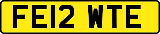 FE12WTE