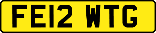 FE12WTG