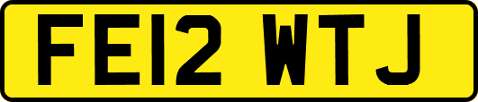 FE12WTJ