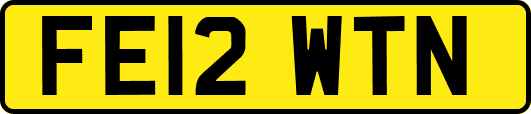 FE12WTN