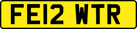 FE12WTR