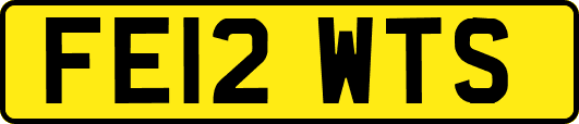 FE12WTS