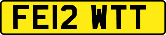 FE12WTT