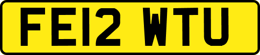 FE12WTU