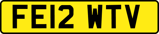 FE12WTV