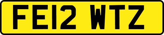 FE12WTZ