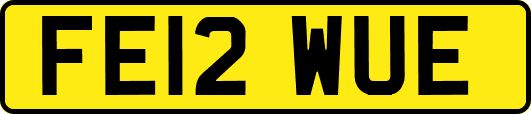 FE12WUE