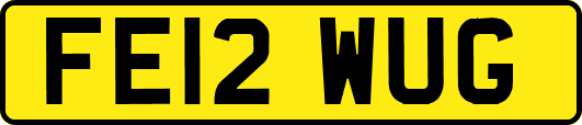 FE12WUG