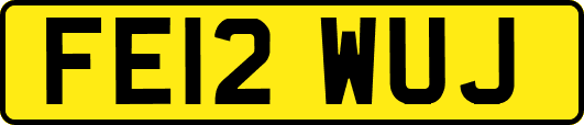 FE12WUJ